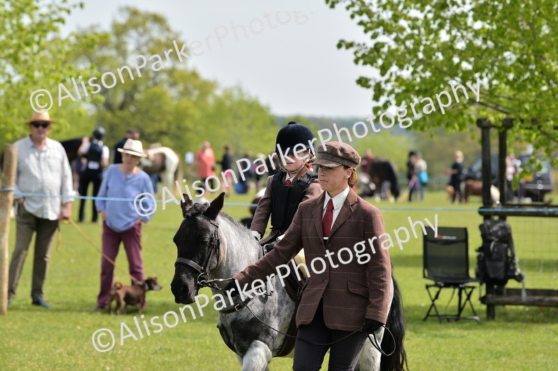 20260426-2323 - Class 20 - Beginner Working Hunter