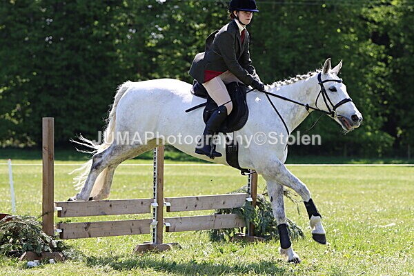 IMG_3538 - Working Hunter