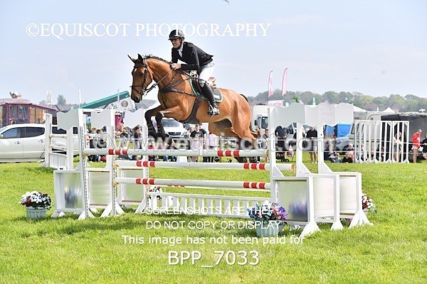 BPP_7033 - CLASS 3 RHS Fox Champ Qual (1.20m)