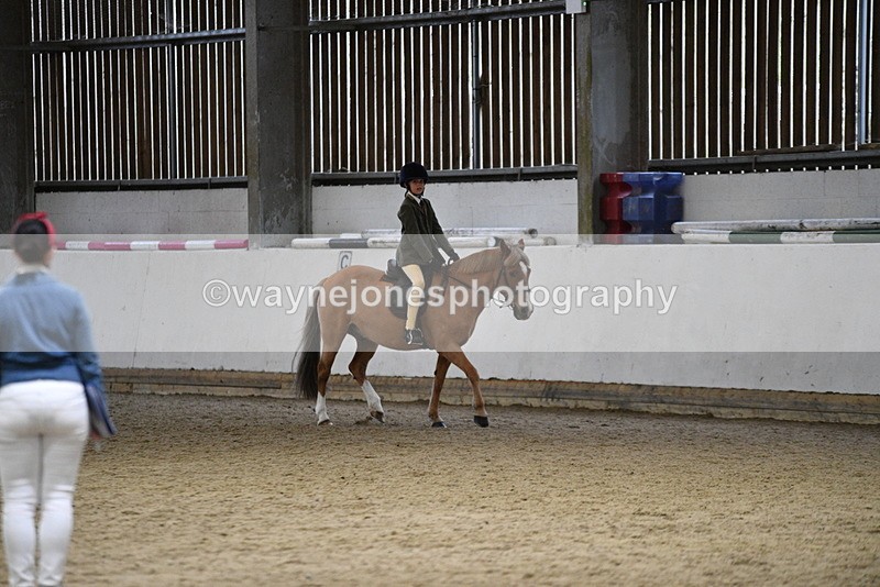 WJ5_8390 - Class 14 Novice Ridden/Rider