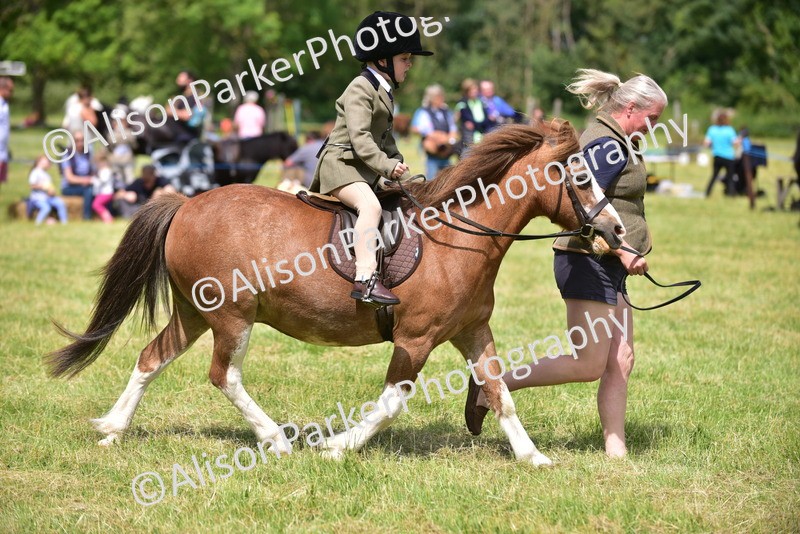 20260614-1253 - Class 11a - Lead Rein Pony (Unplaited)