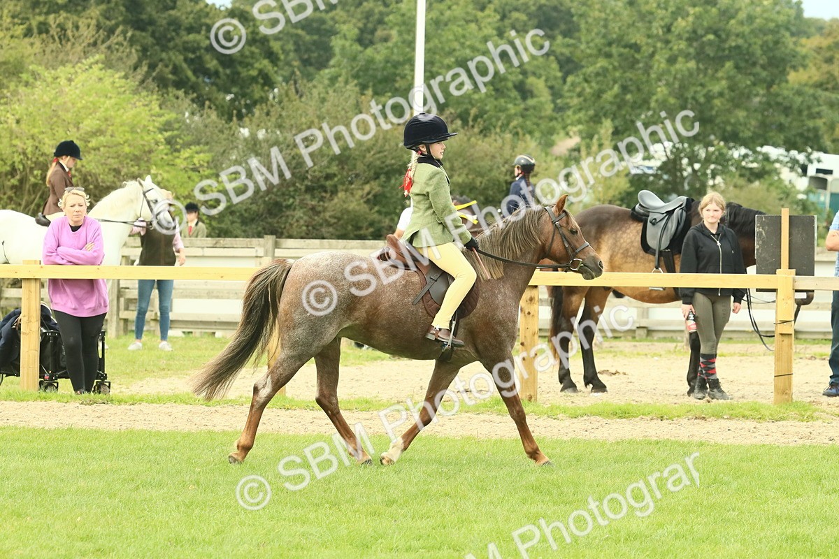 SBM_69952 - S59 - Mountain & Moorland Ridden Small Breeds