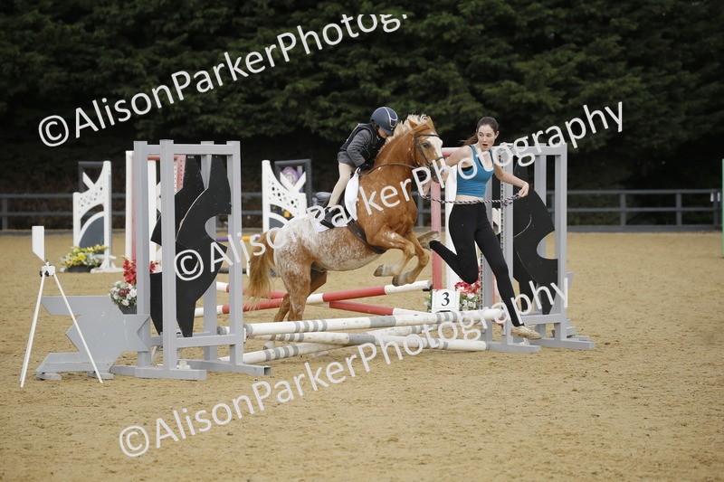 20250622-1324 - 40cm