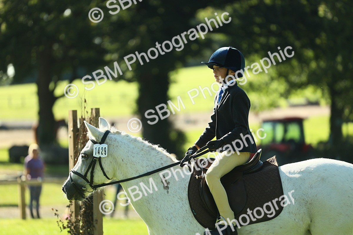 SBM_36488 - S29 - Novice & Newcomers Working Hunter Pony