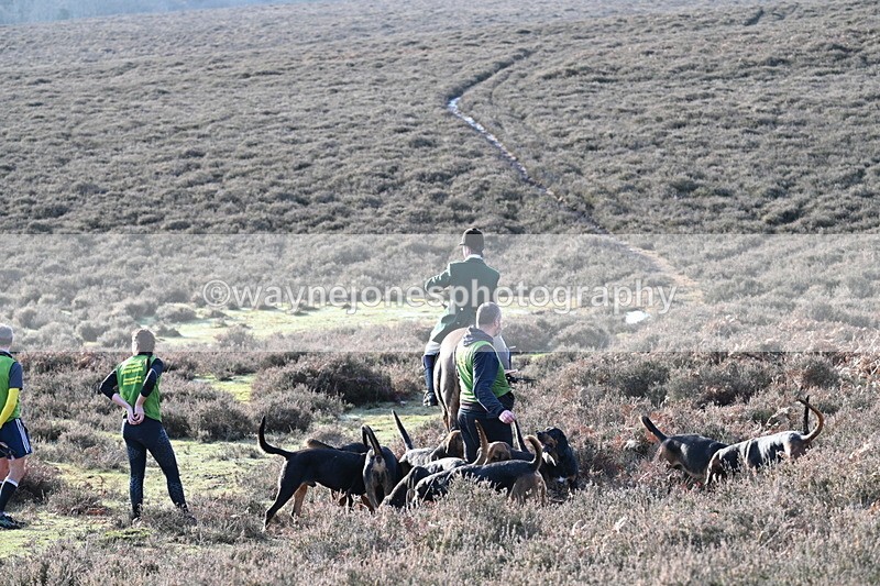 WJ7_8022 - Line 3 (no line 4 or 5)