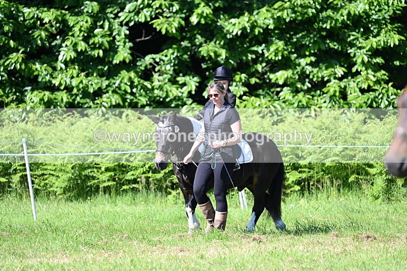 WJ7_0453 - Class 8 First Rally Pony