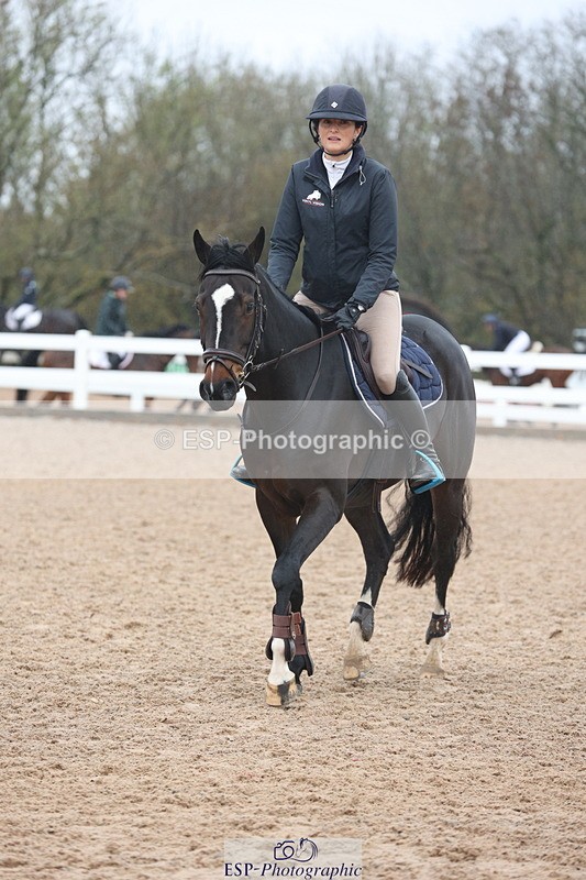 231112A-103648-03366 - Cls 17 Blue Chip Novice Winter Qualifier