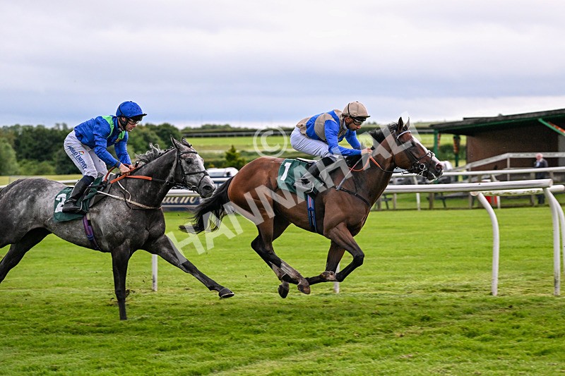 110626-Race 6-Uppercase-5435 - Race 6 20.59pm Racing Again 22nd June Handicap