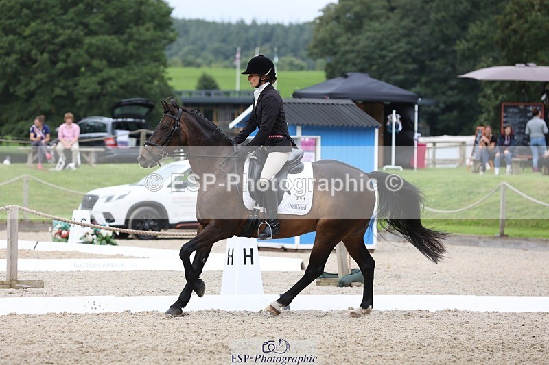 230812-122213-03997 - Cls 5 Novice Bronze 11.15 to 12.50 break