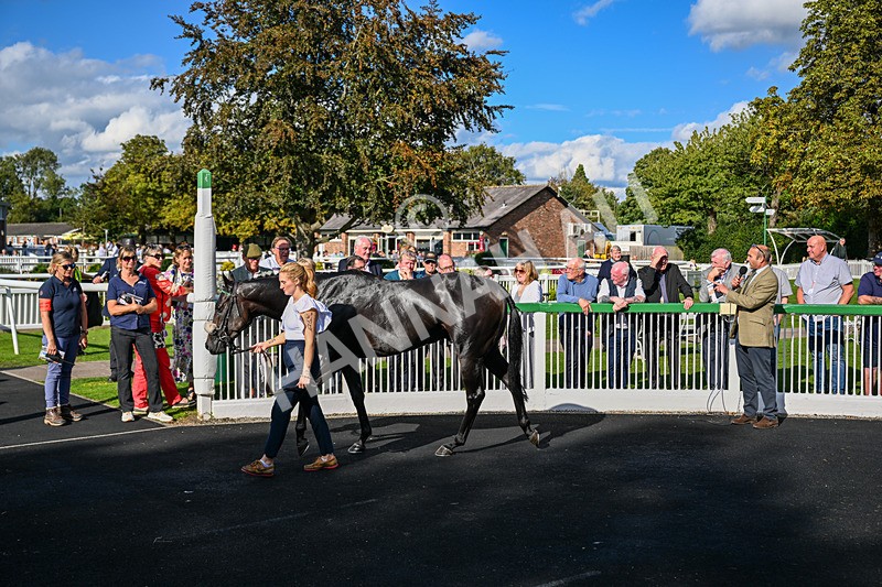 140926-Race 4-Lamlash Bay-3222 - Race 4 3.51pm Sapphire Selling Handicap