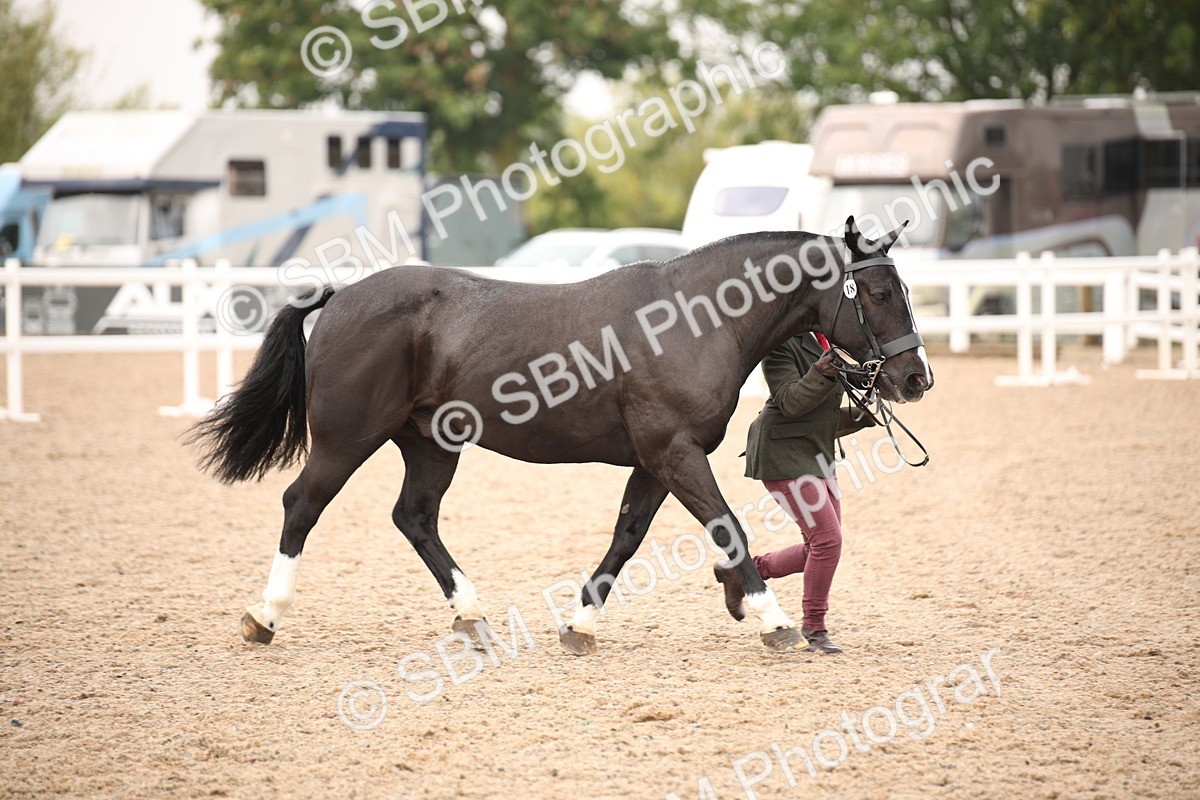 SBM_21456 - Class 706 - IH  Veteran