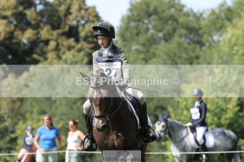 250823A-134831-31370 - Arena D