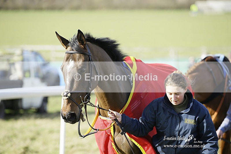 PtP 260222 424 - Kingston Blount Racing Club Point-to-Point 26/02/22