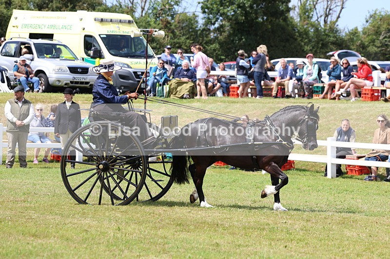 3E7A2655 - Class 12: Open Driving