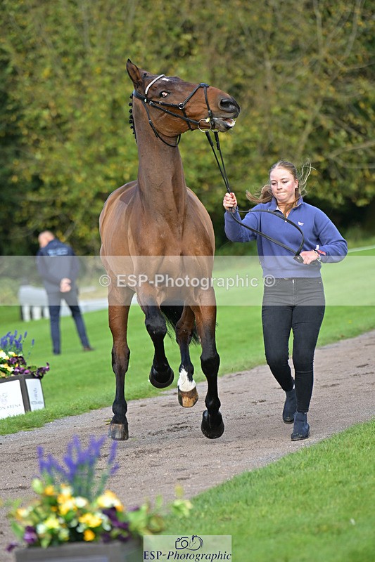 241023-131336-00140 - 008-Charlie.Piper-ZADOK.D