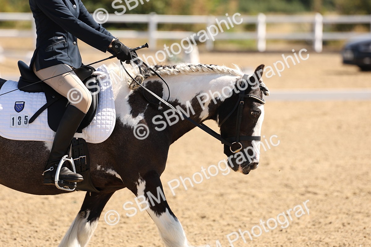 SBM_001069 - Intro 2