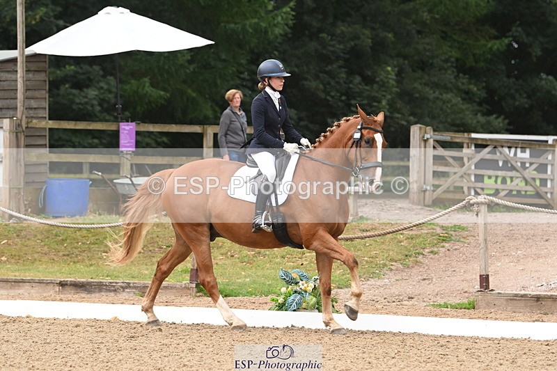 250720A-103440-09595 - 104-Molly.Northmore-Pennmoor.Liberation