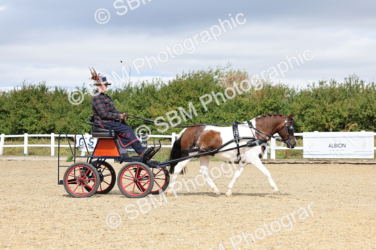 SBM_001020 - Class 10 - Veteran Driver