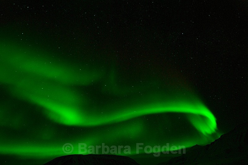 Northern lightin Adventdalen 1874 - Polar night