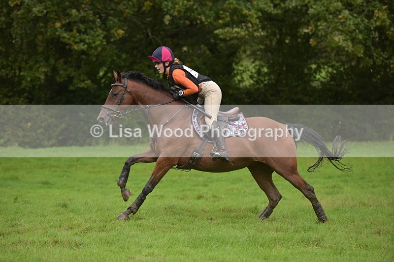 RAY_0582 - Class 5: 90cm Double of Brushes