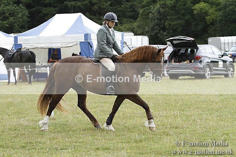 BVR160717-414 - Ring 3 BVRC Show 16/07/17