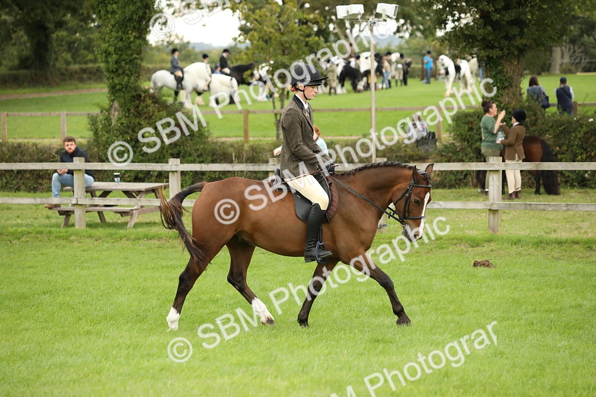 SBM_73744 - S41 - Ridden Equitation (Best Rider)