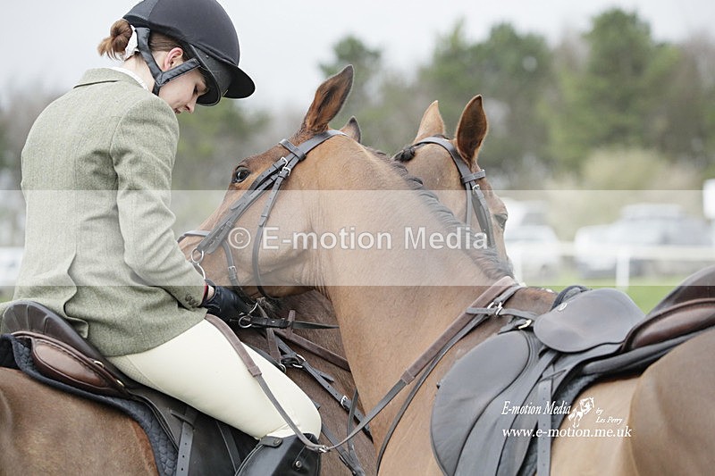 PtP 260323 0651 - New Forest Hounds Point-to-Point Larkhill 26/03/23