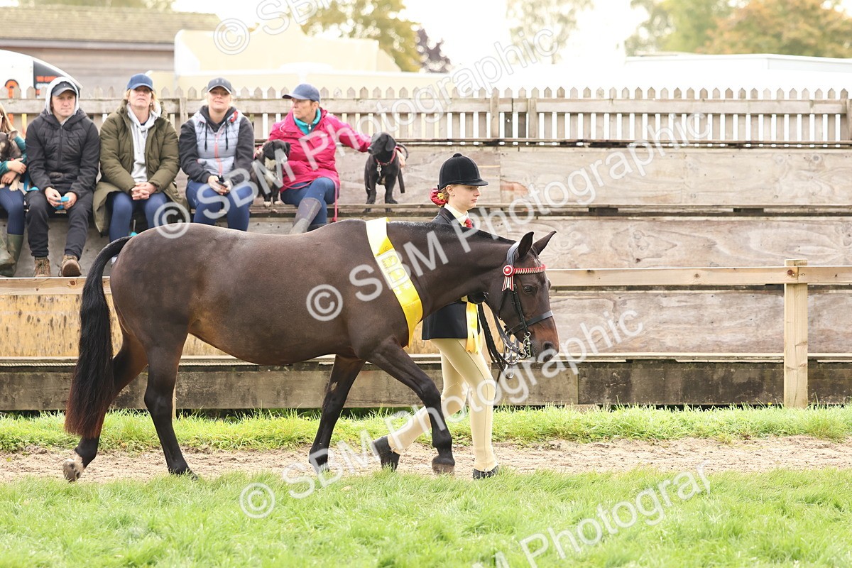 SBM_59741 - Start Supreme Championship