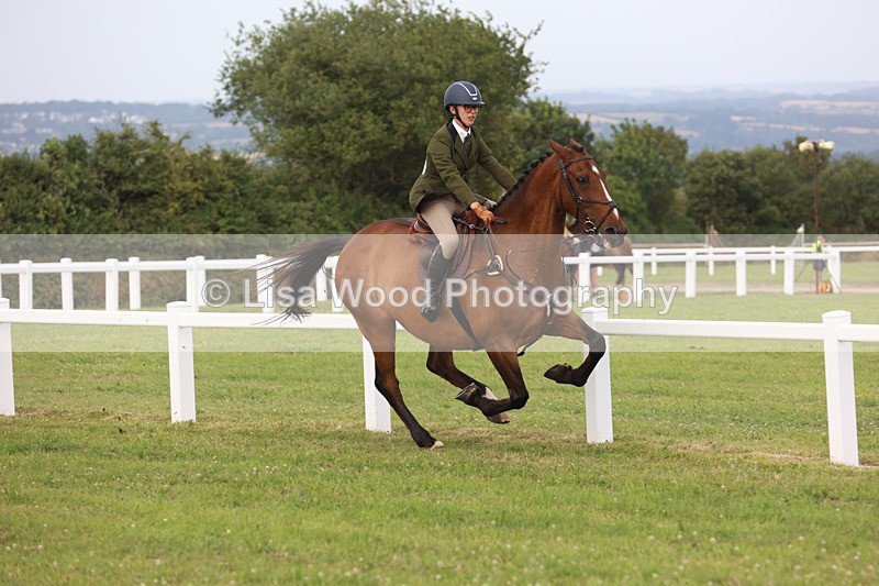 JPP_4452 - Class 26: Working Hunter 1m