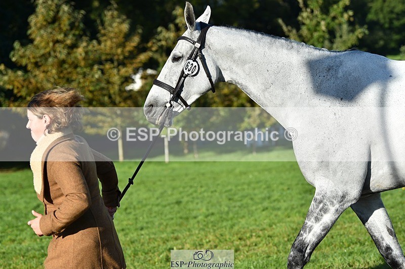 231022-095410-22103 - 630-ST.TROPEZ-Lizzie.Luxton-TrotUp+SJ