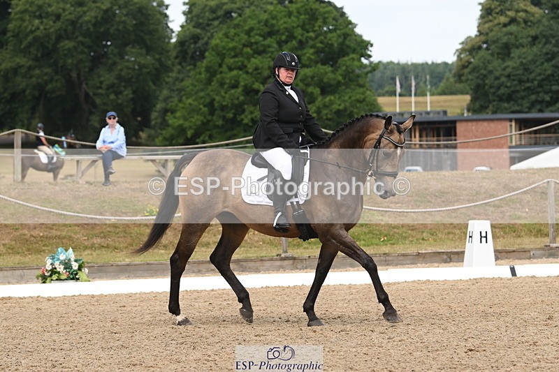 250719A-104413-04005 - 127-Jocelyn.Gilmore-Spring.Lily