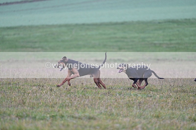 WJ7_0429 - Camera 1