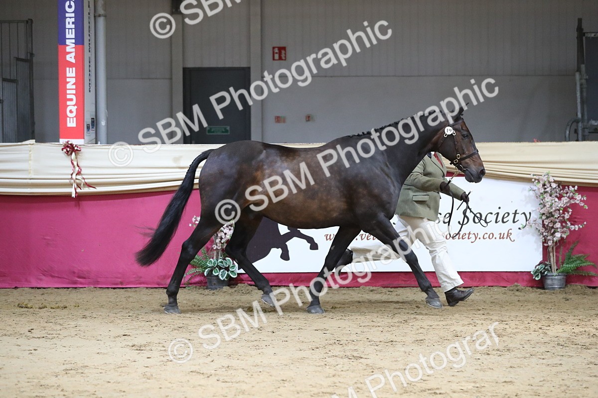 SBM_06256 - Class 9R Regional- IH Pre Vet