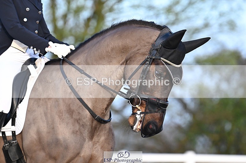 260213-083930-00834 - 063-Tess.Wilson