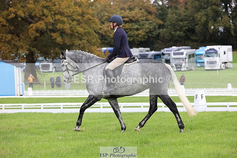 251023A-113033-03342 - D-314-Alice.Tollworthy