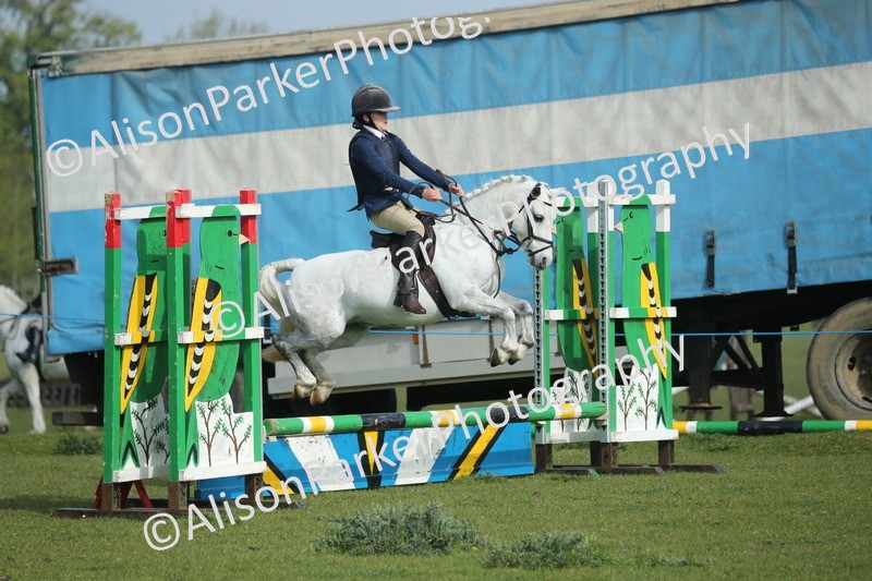 20260426-0104 - Class 13 - Rookie Jumping 50cm