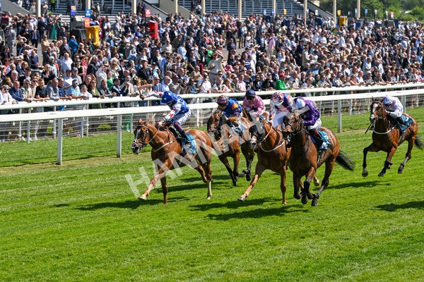 160525-Race 2-Thunder Run-6231 - Race 2 2.42pm Knights Solicitors Handicap