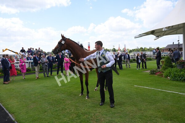 yr10062022r2-66 - Race 2 2.30pm SKF Rous Selling Stakes