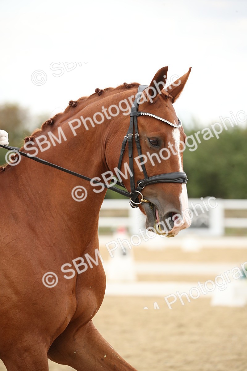 SBM_002093 - Class 6 - Elementary 5 - 13.30-14.34