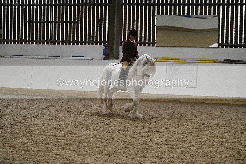 WJ7_3663 - Class 16 Ridden Coloured/ Odd Coloured