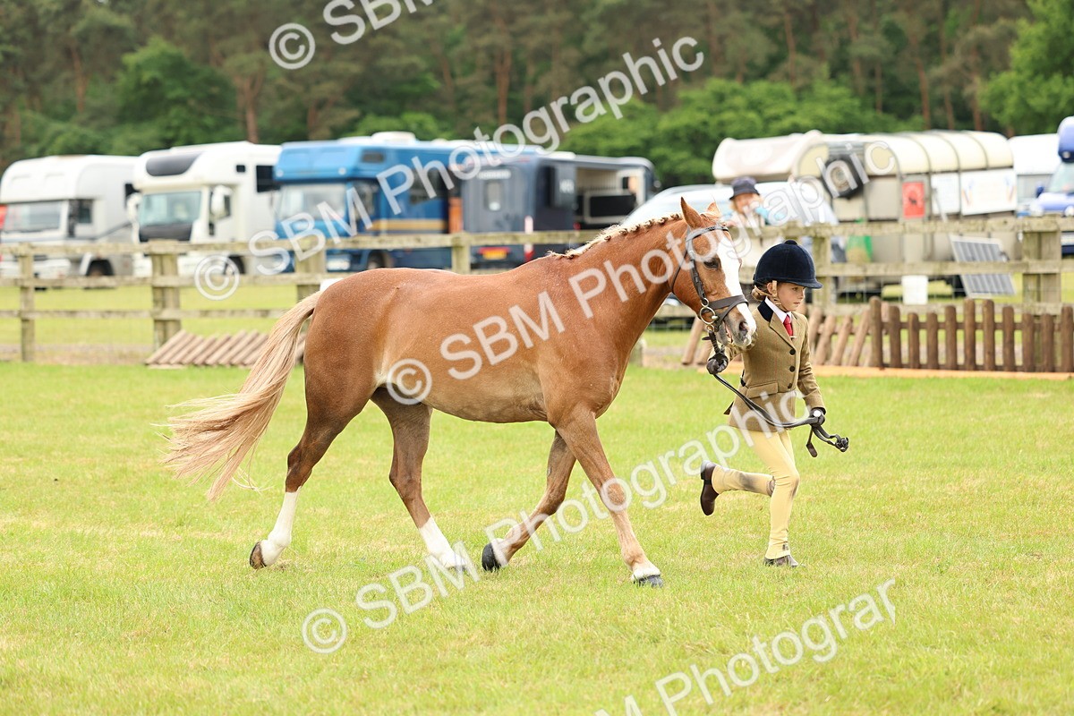 SBM_10264 - Class 44-45 - LIHS BSPS Open Nursery and Cradle Stakes