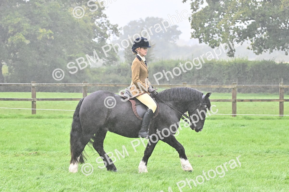 SBM_72409 - S43 - Ridden Equitation Best Rider