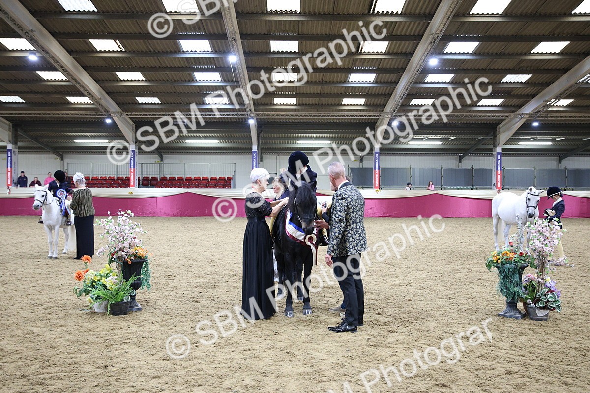 SBM_18497 - Class A Junior Champ 10 Years and Under