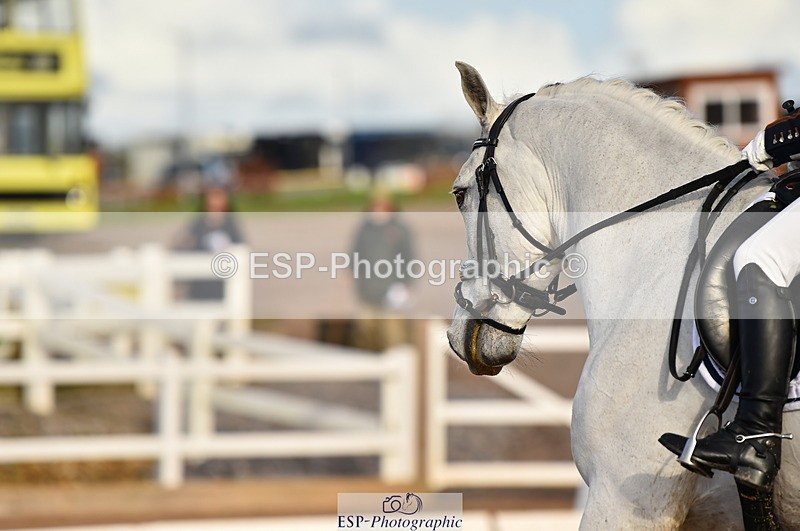 231104A-130150-01828 - Cls 8 Elementary 59