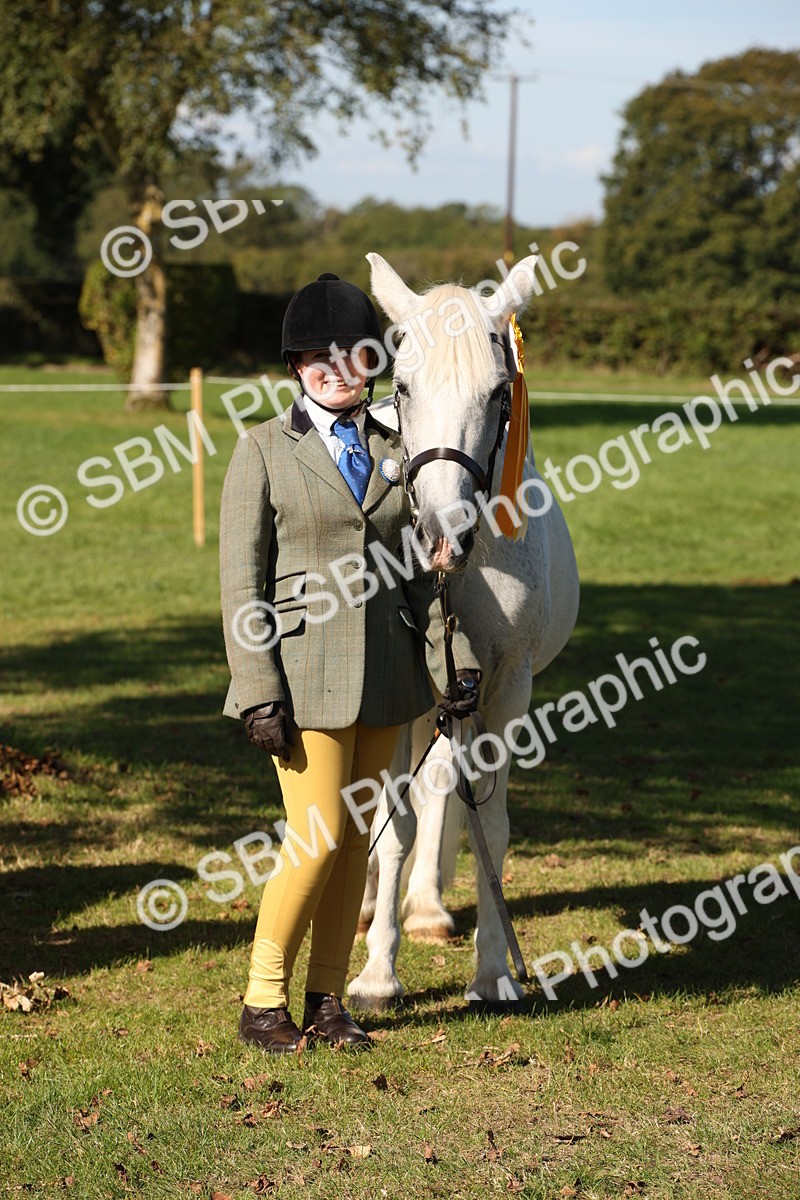 SBM_36693 - S10 - Best In Hand Horse & Pony