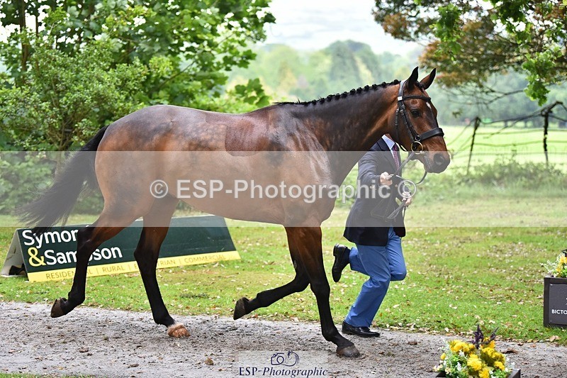 240522-164938-01180 - 260-WATERVALLEY_ROYAL_GUY-Harry_Meade