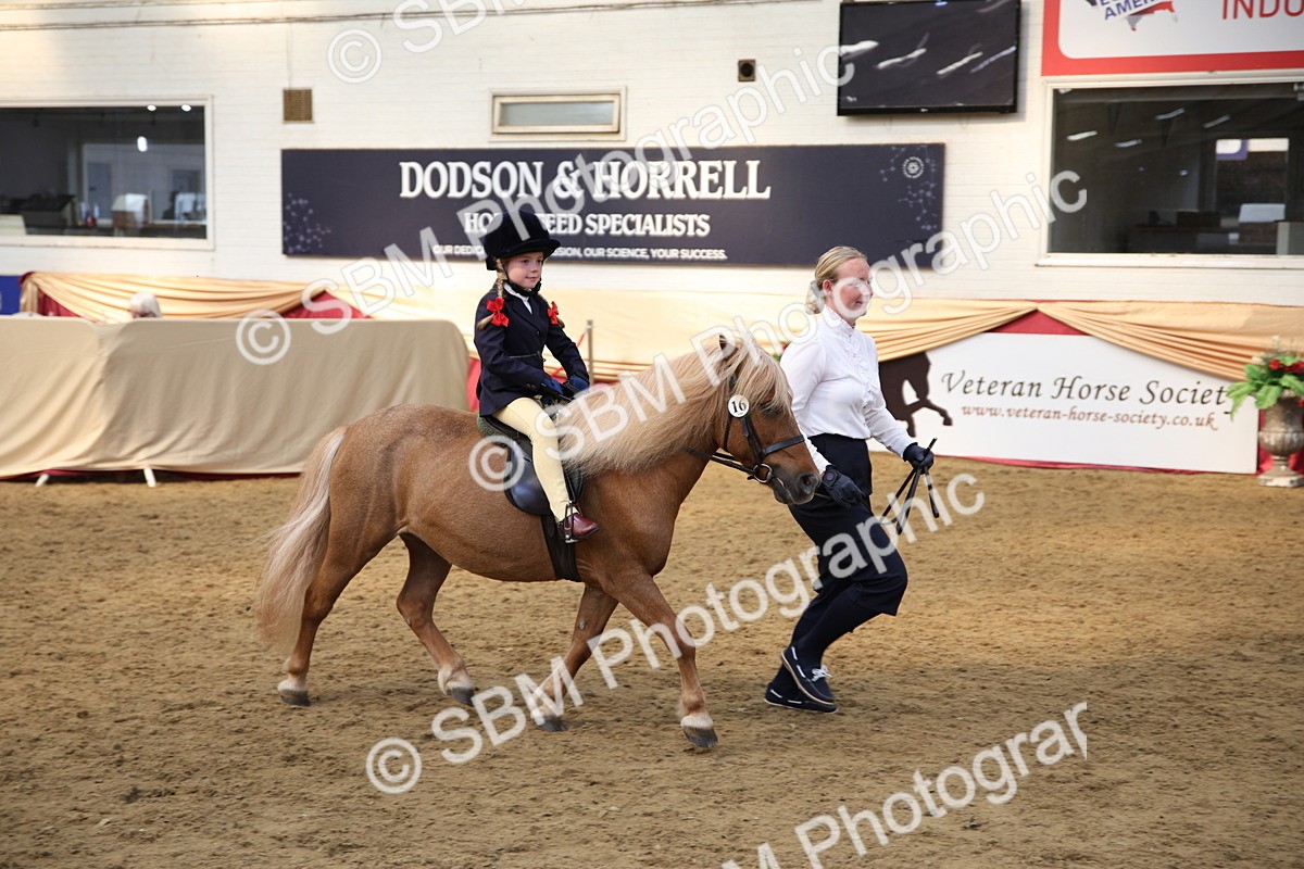 SBM_24756 - Class 906 - Supreme Final - Ridden Pre Vet