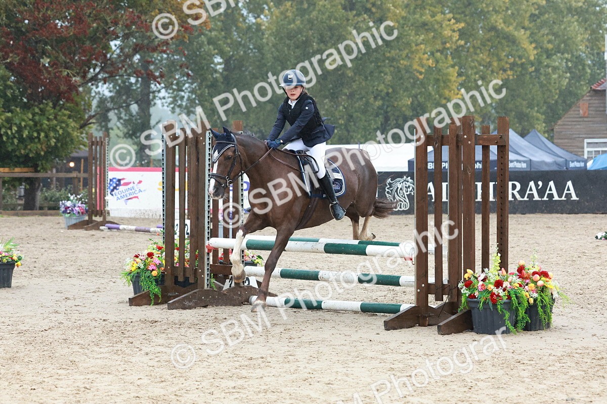 SBM_73433 - Supreme Championship Junior Pony 60cm & 65cm