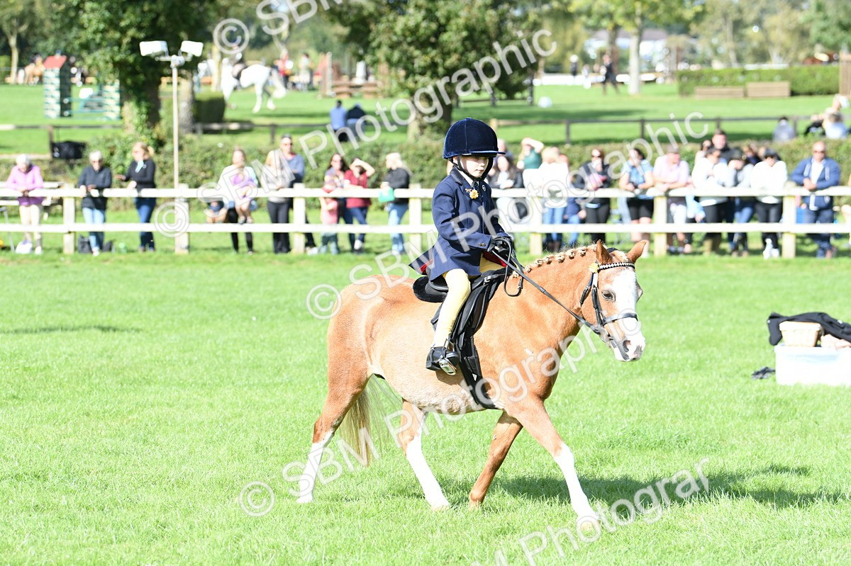 SBM_50278 - S21 - Novice & Newcomers 1st Ridden Pony