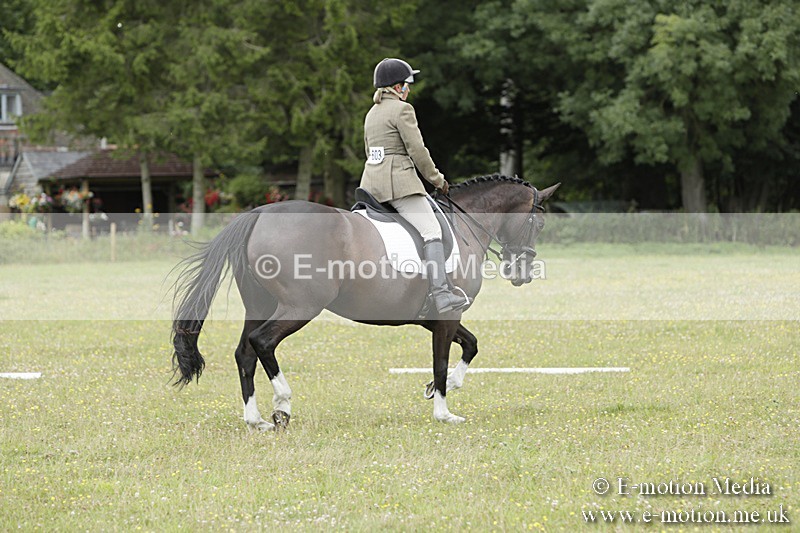 BVR160717-2086 - Class 4 & 5 Dressage 16/07/17